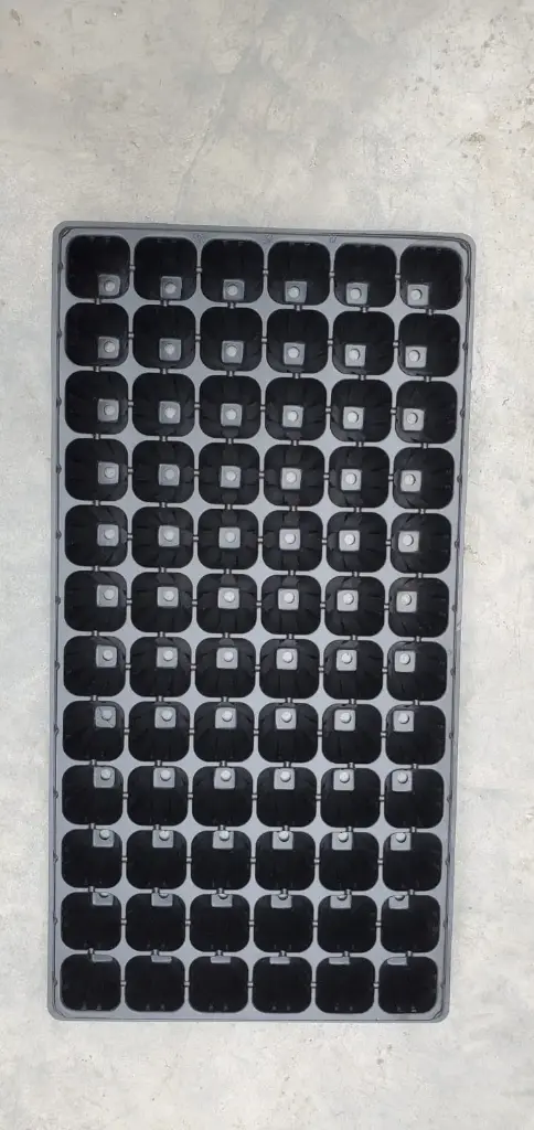 Seedling Trays 72 Holes