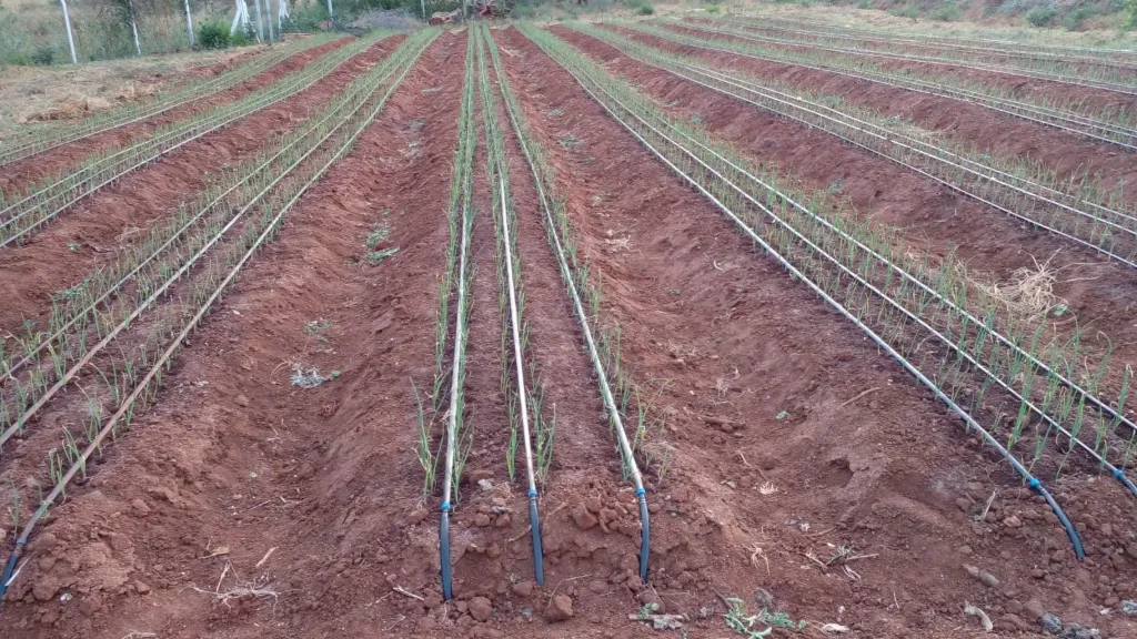 1/2 Acre Drip Irrigation Kit